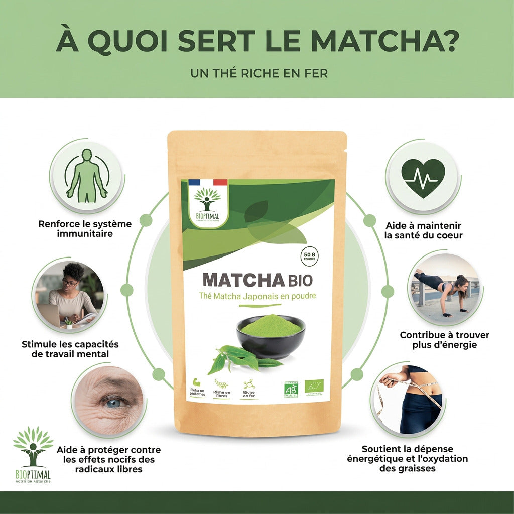 Matcha bio poudre